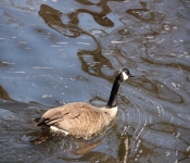 2014 04 20 MinnehahaFalls 001